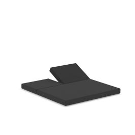 Seat / Back positions cushion